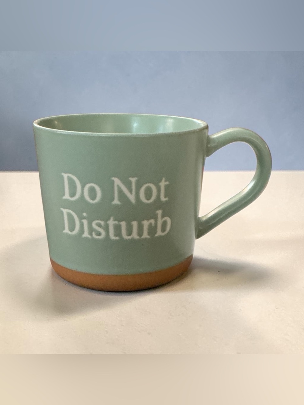 Do Not Disturb Ceramic Coffee Mug Sage Green Farmhouse Tea Cup